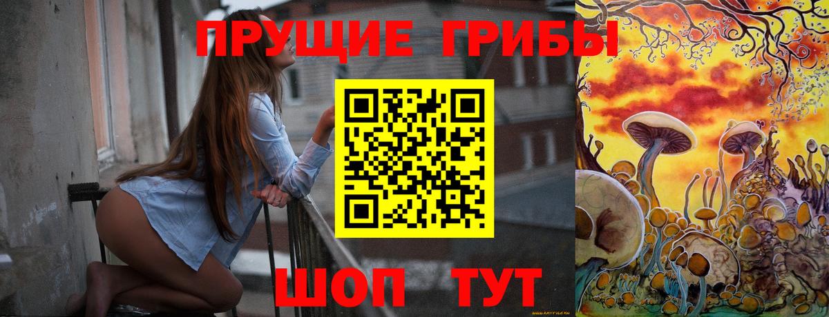 Псилоцибиновые грибы Psilocybe  Вход с VPN  наркотики  Гусиноозёрск  Галлюциногенные грибы Cubensis 